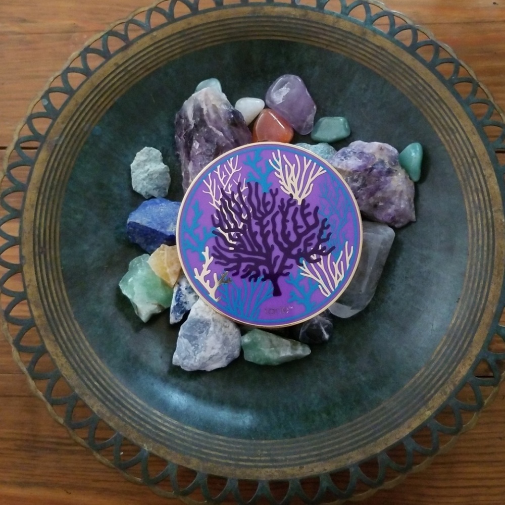 Tarte rainforest of the sea volume 2